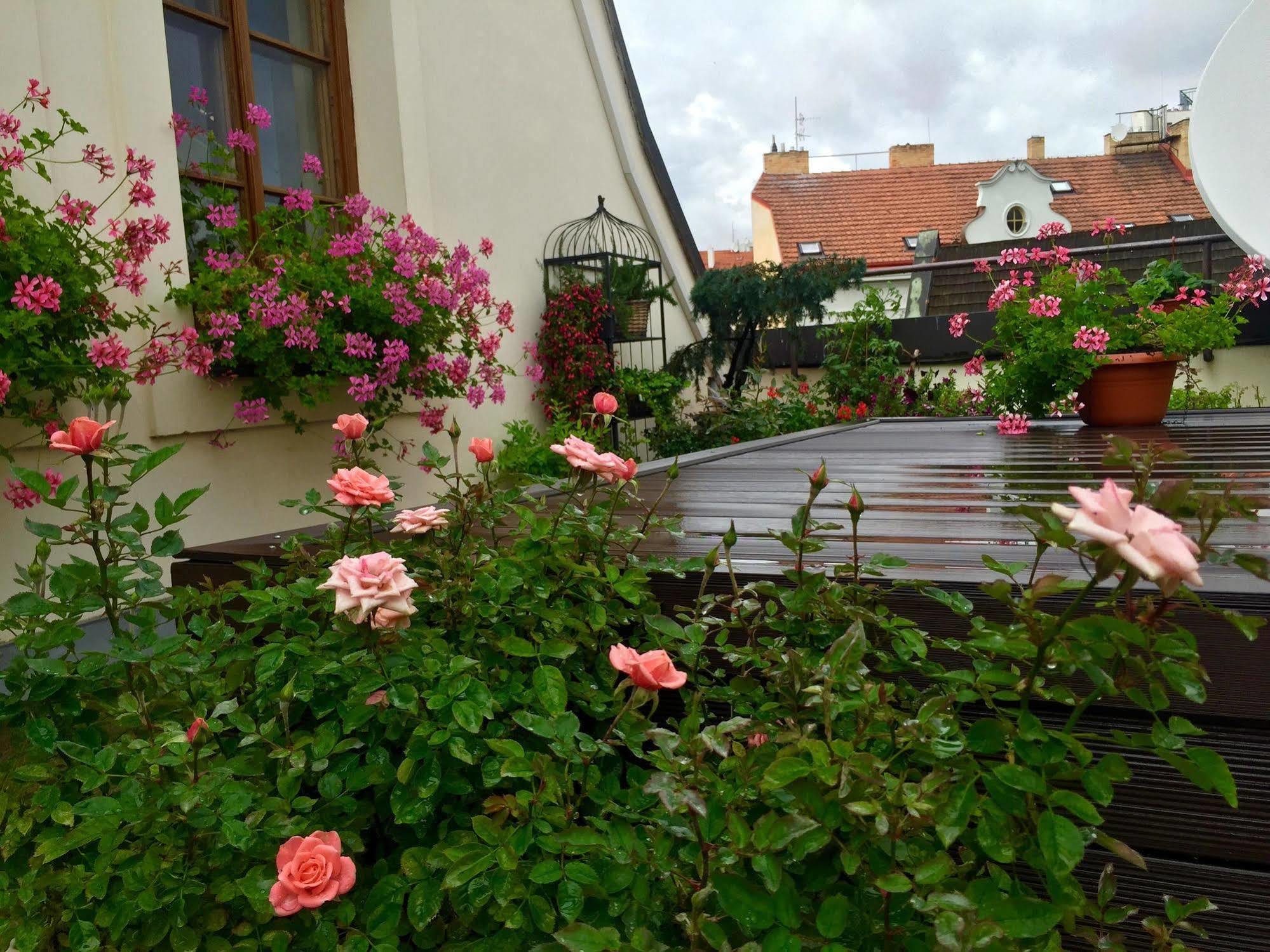 Old Town Boutique Apartments Praha Bagian luar foto